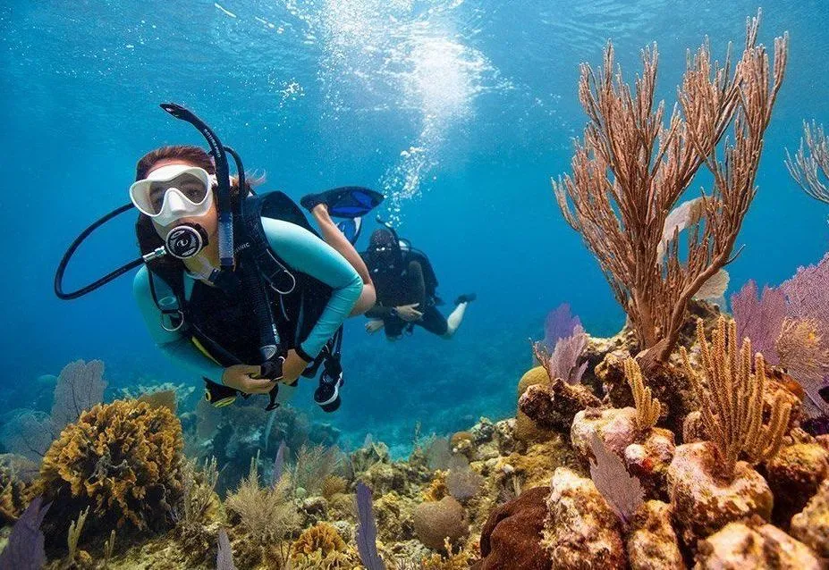 Scuba divers exploring colorful coral reefs in the Caribbean Sea near Papagayo Beach Hotel.