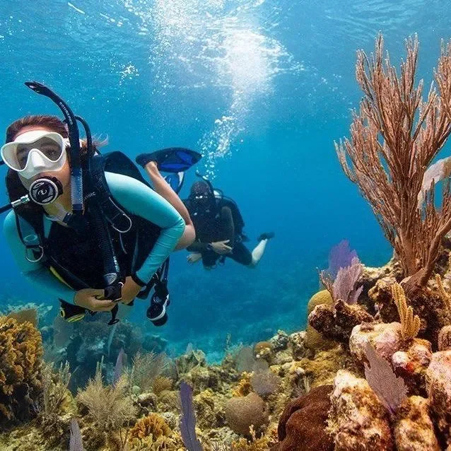 Scuba divers exploring colorful coral reefs in the Caribbean Sea near Papagayo Beach Hotel.